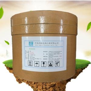 食品與飼料添加劑產(chǎn)業(yè)鏈 生產(chǎn)廠家與批發(fā)商在飼料生產(chǎn)中的關(guān)鍵角色